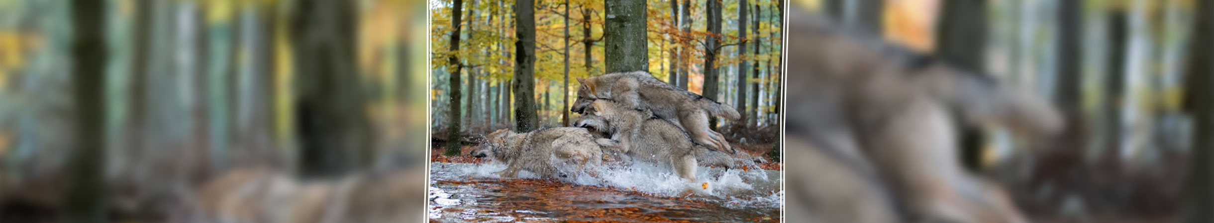 Teamwork